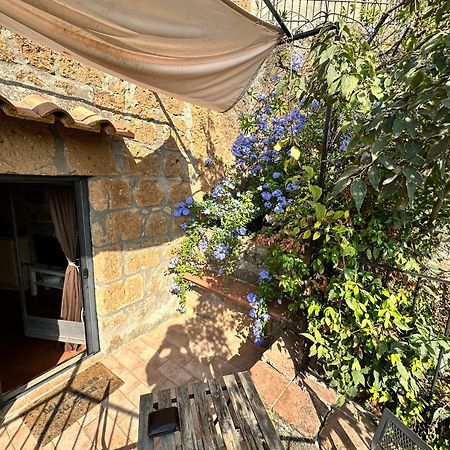 ピティリアーノ Terrazza Sul Tufoヴィラ エクステリア 写真